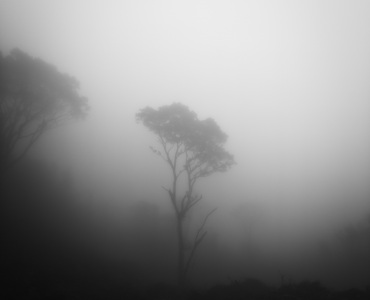 Самые распространённые мифы о сексуальном насилии